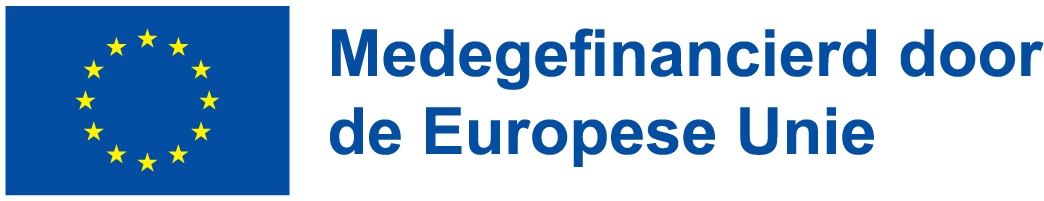 Logo Medegefinancierd door de Europese Unie